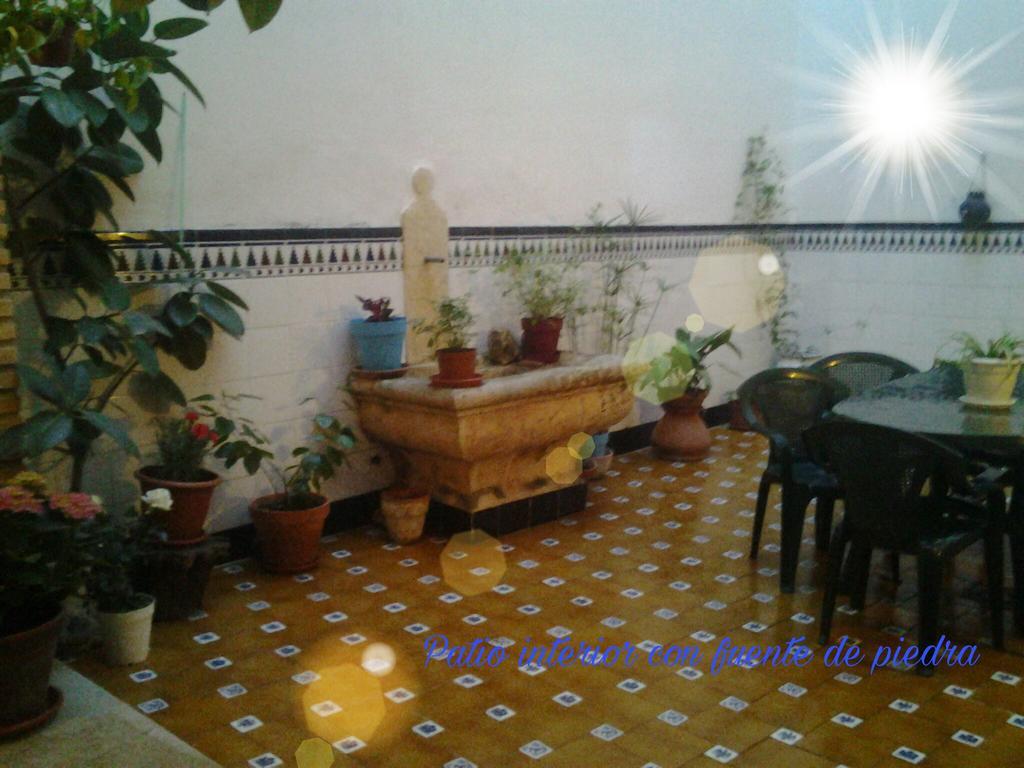 Casa Camino Al Castillo Xàtiva Екстериор снимка