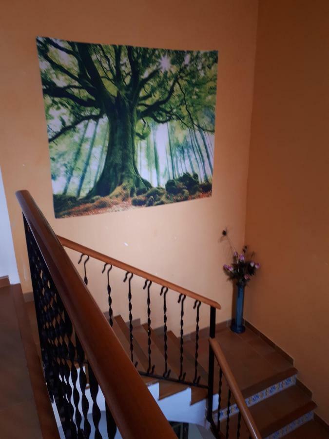 Casa Camino Al Castillo Xàtiva Екстериор снимка